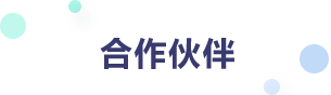 蓝色文字，代表维普查重合作伙伴
